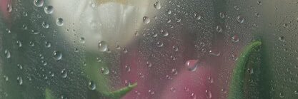 trash_aest's profile banner image