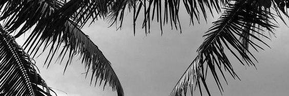 ashburnssss's profile banner image
