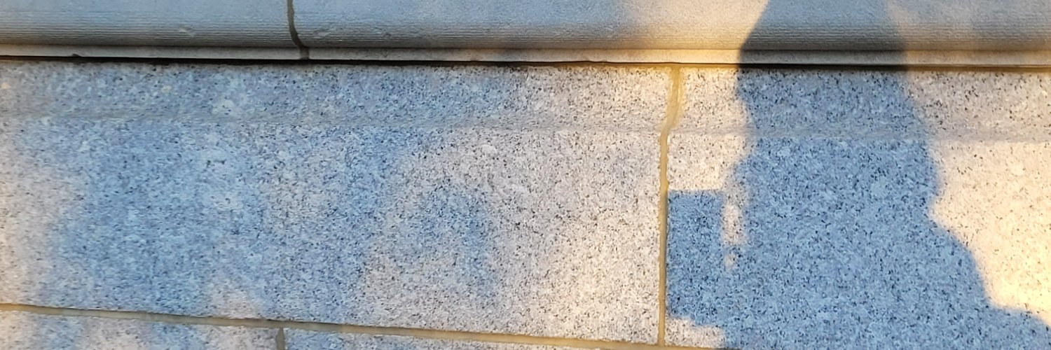 lady_bronte's profile banner image