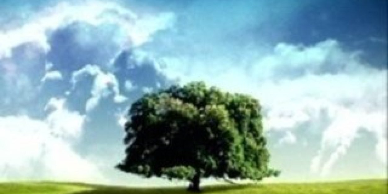 Eerlybired's profile banner image