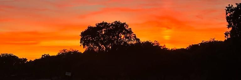 oscarlr24's profile banner image