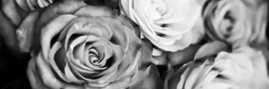 AmyleeEdith's profile banner image