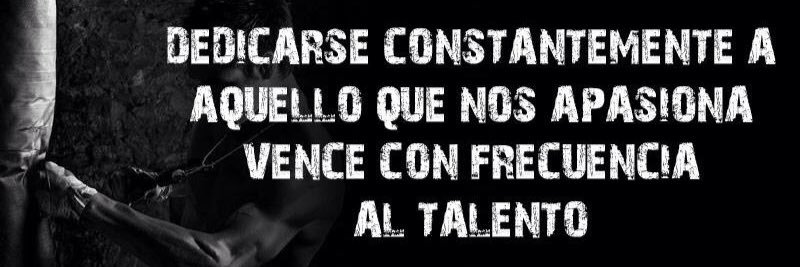 DefensaCcs's profile banner image