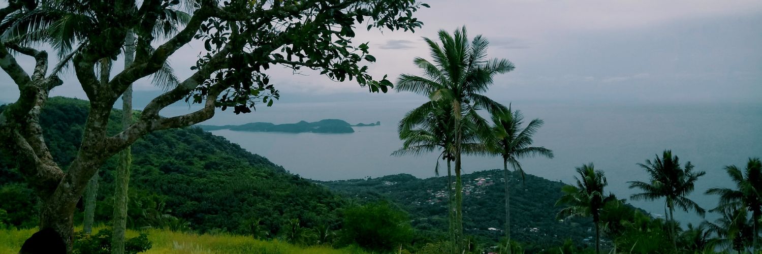 kayhanalei's profile banner image