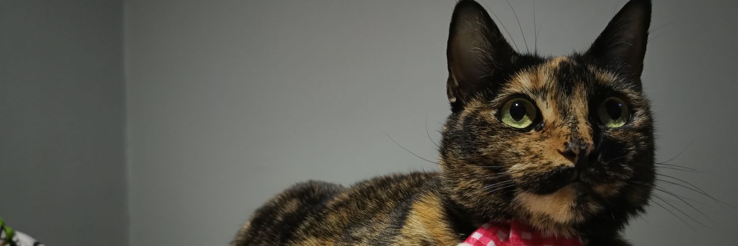 laruizzxd's profile banner image