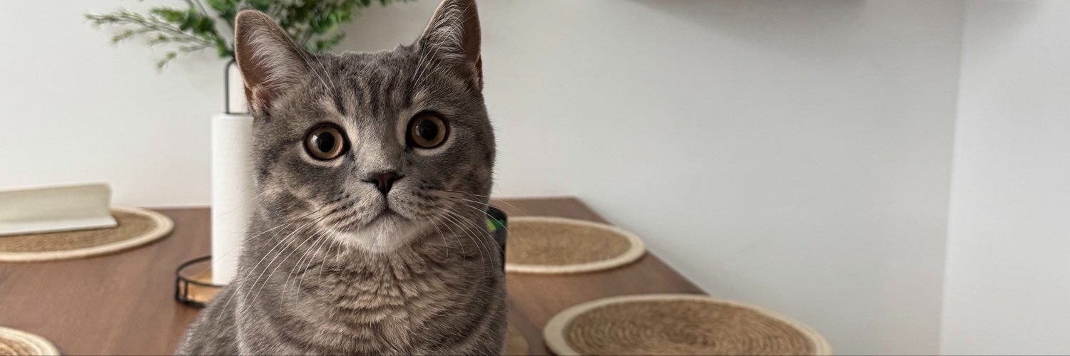 lyvdlmt's profile banner image