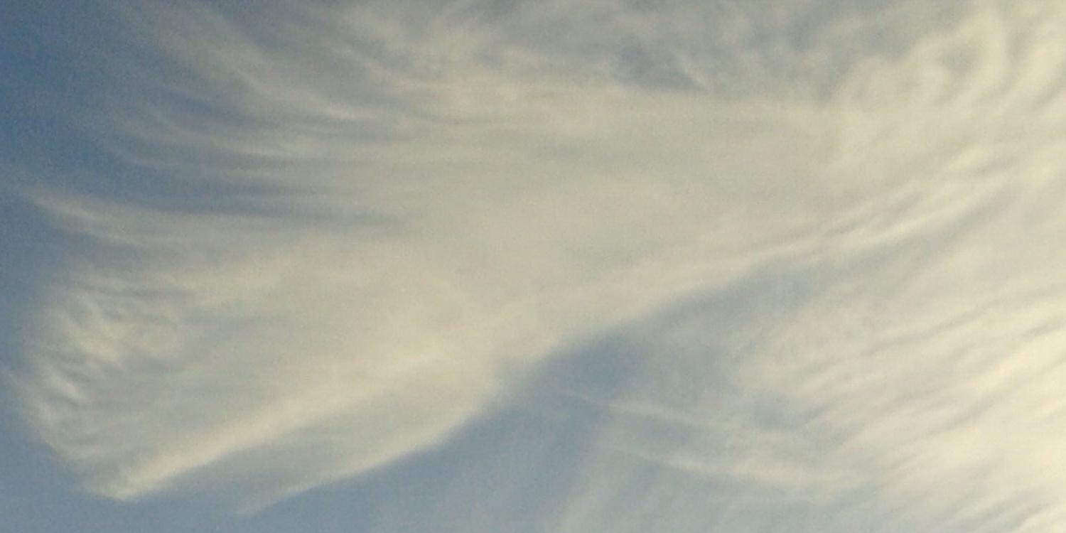 Amy_Dusk17's profile banner image