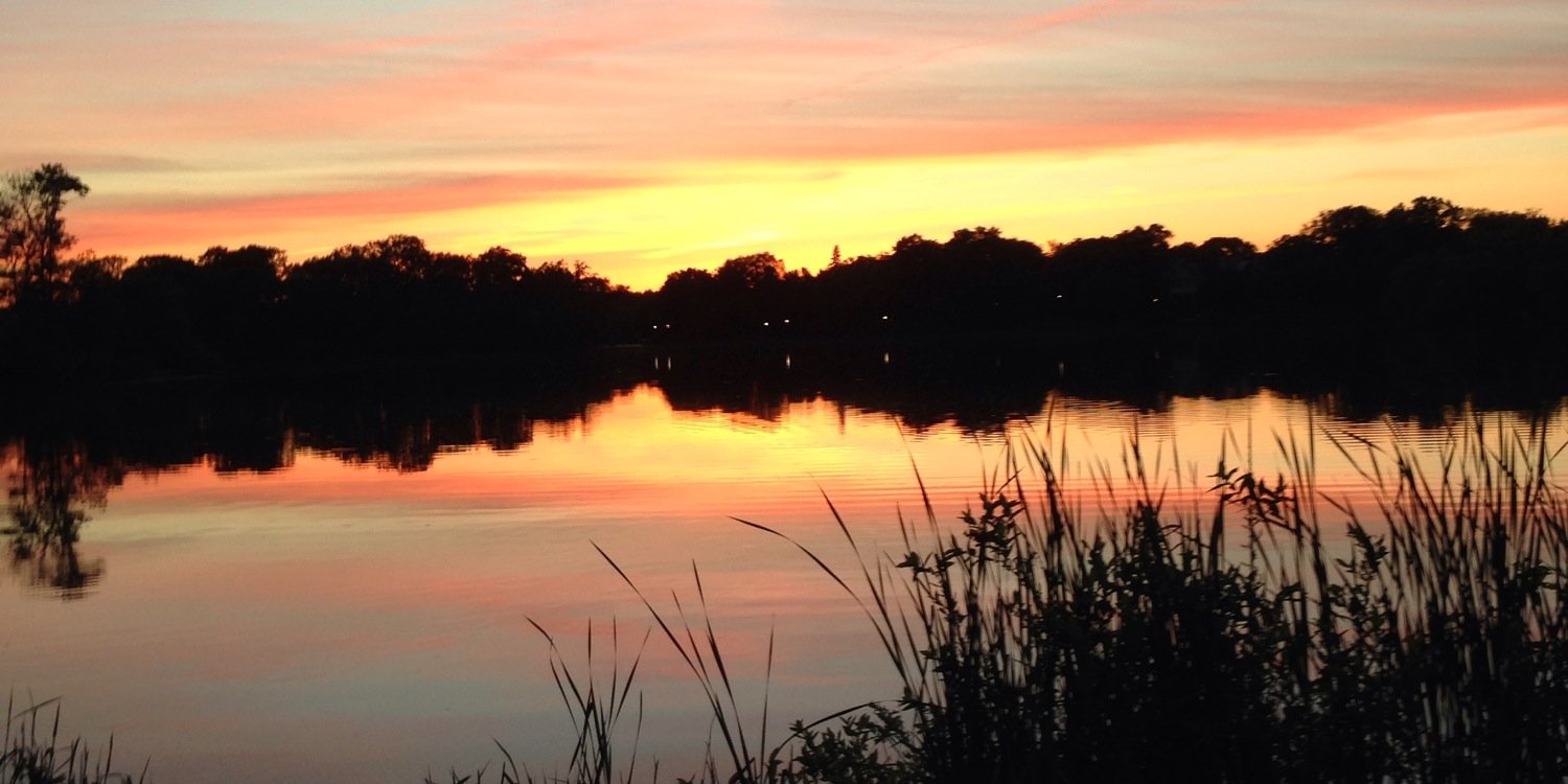 TheLitestyleObserver banner