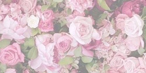 leeeeeena  banner