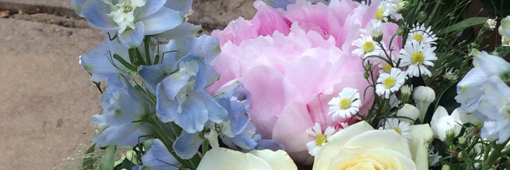 Christine Harger banner