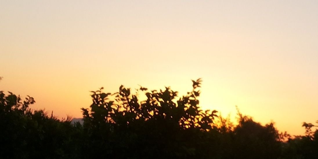 kendinnce's profile banner image