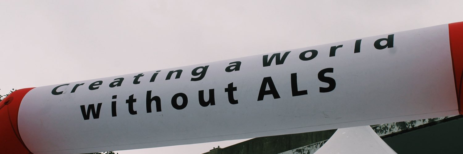 Lindsay Litterini banner