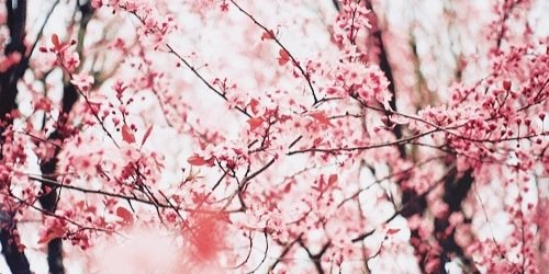 VanessaRPGCSC's profile banner image