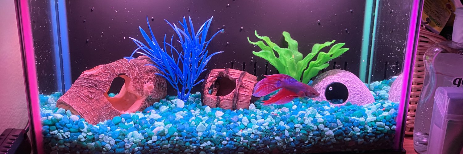 Jessalyn93's profile banner image