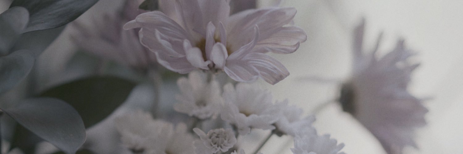arachnobite's profile banner image