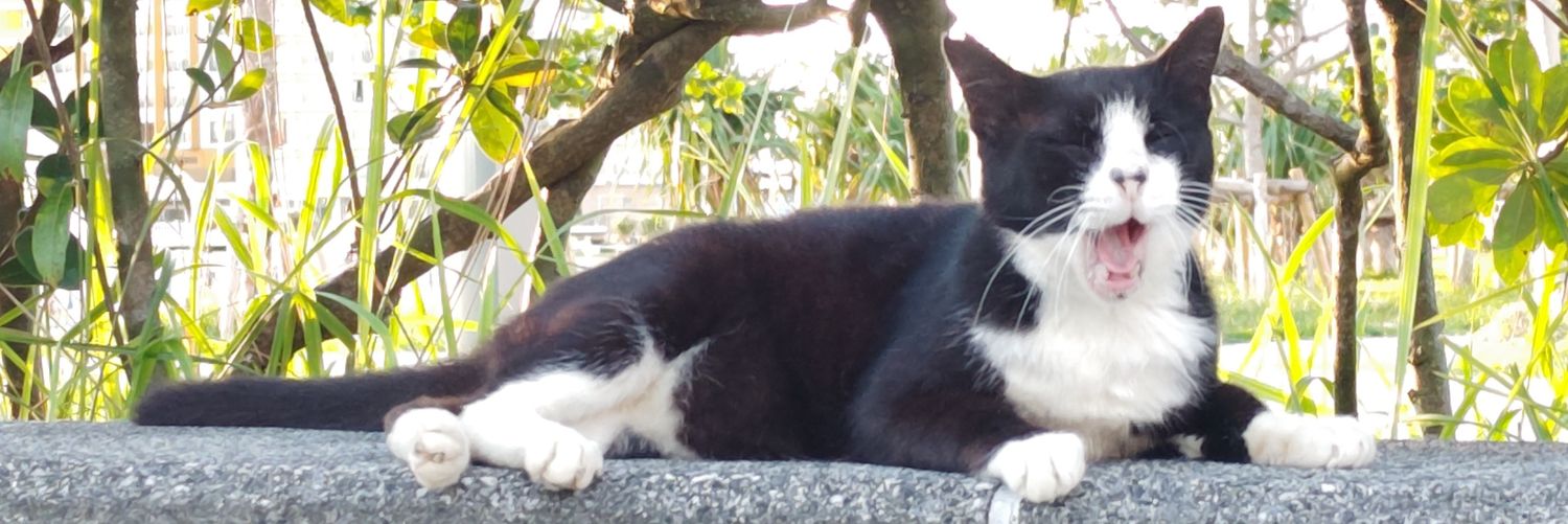 ひろみ@沖縄 banner