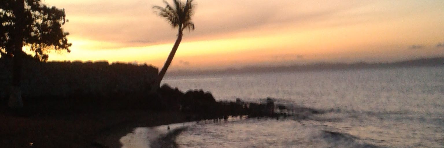 pereztoribio's profile banner image