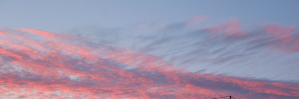 AninaGlez Profile Banner