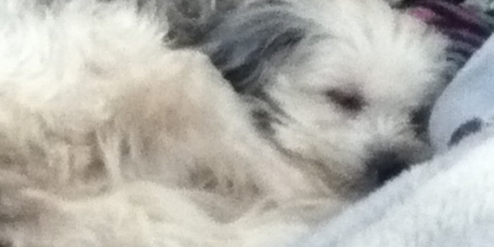 emilypz14's profile banner image