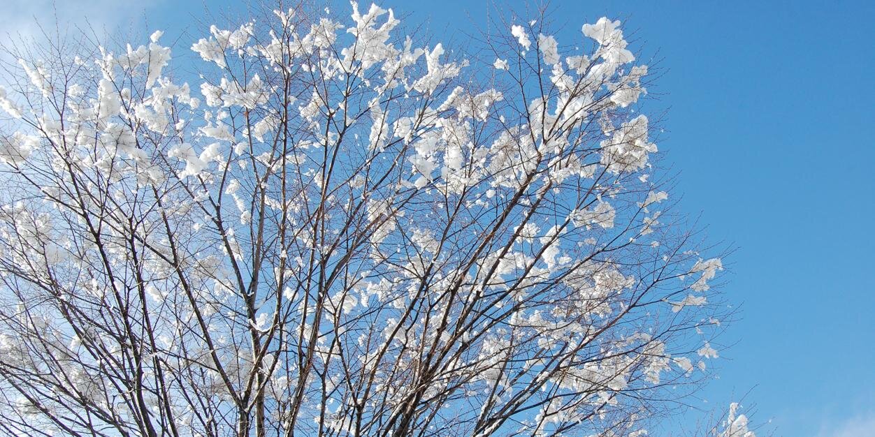 加藤郁美's banner