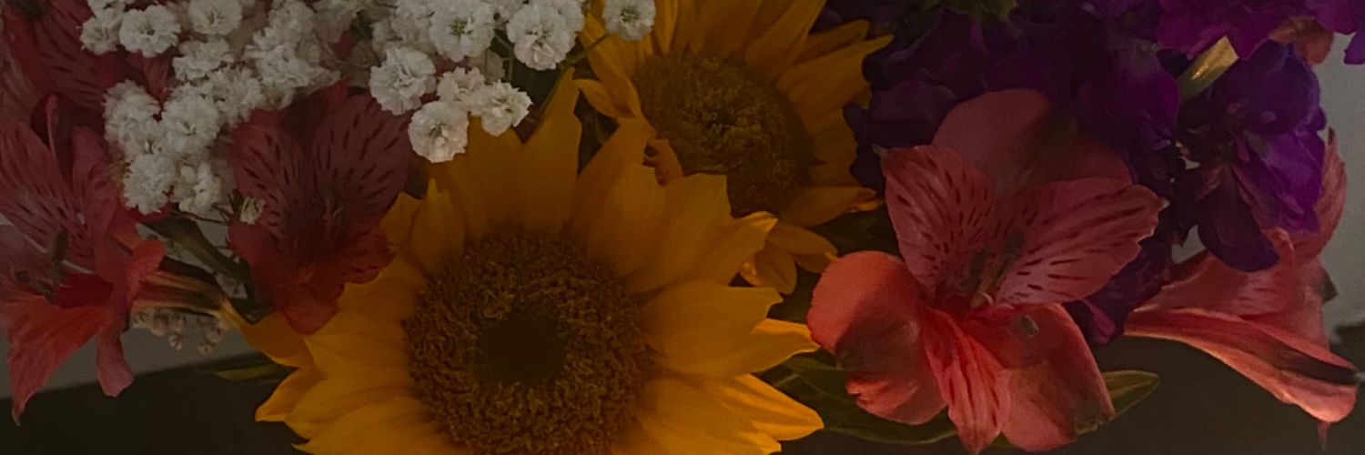 _stephr27's profile banner image