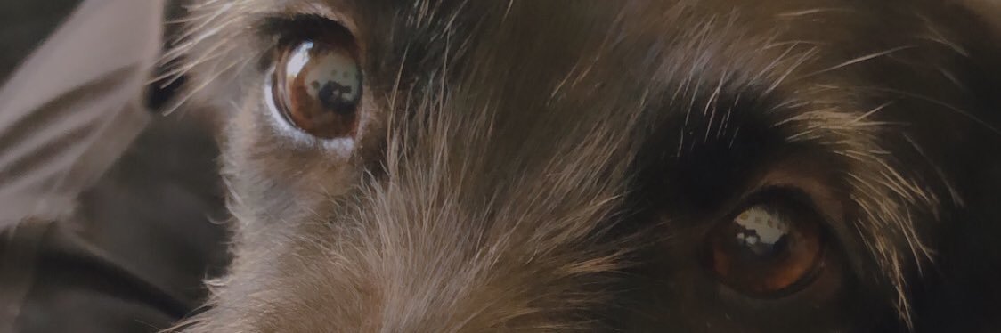 Aymaok's profile banner image