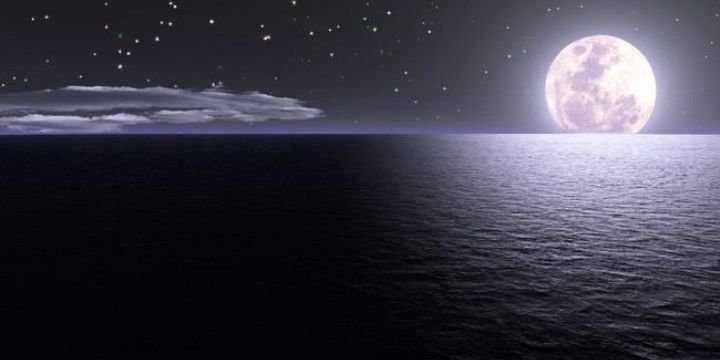 006660415's profile banner image