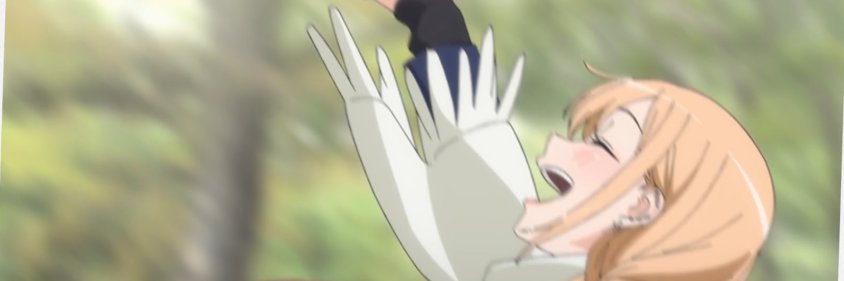 cat banner