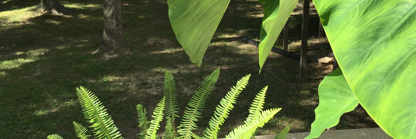 NatFry's profile banner image