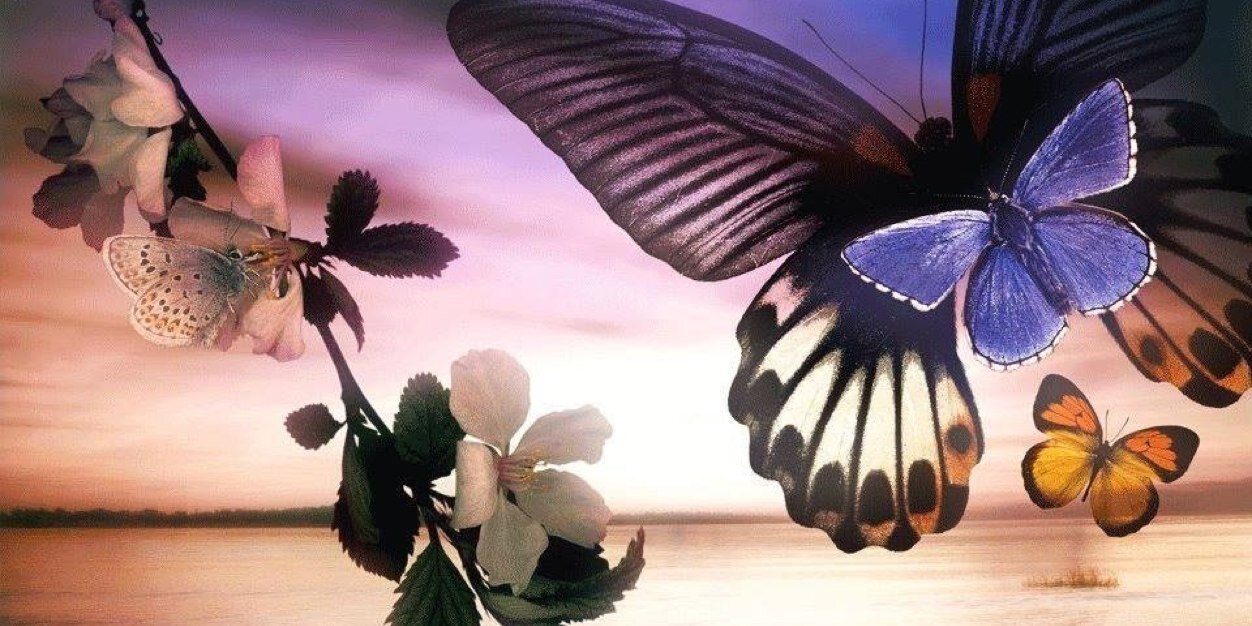 rosarossab's profile banner image