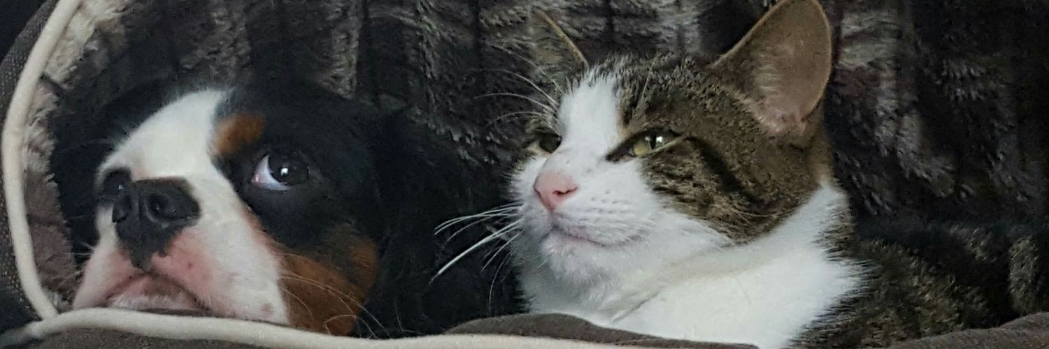 markstilwellUK's profile banner image