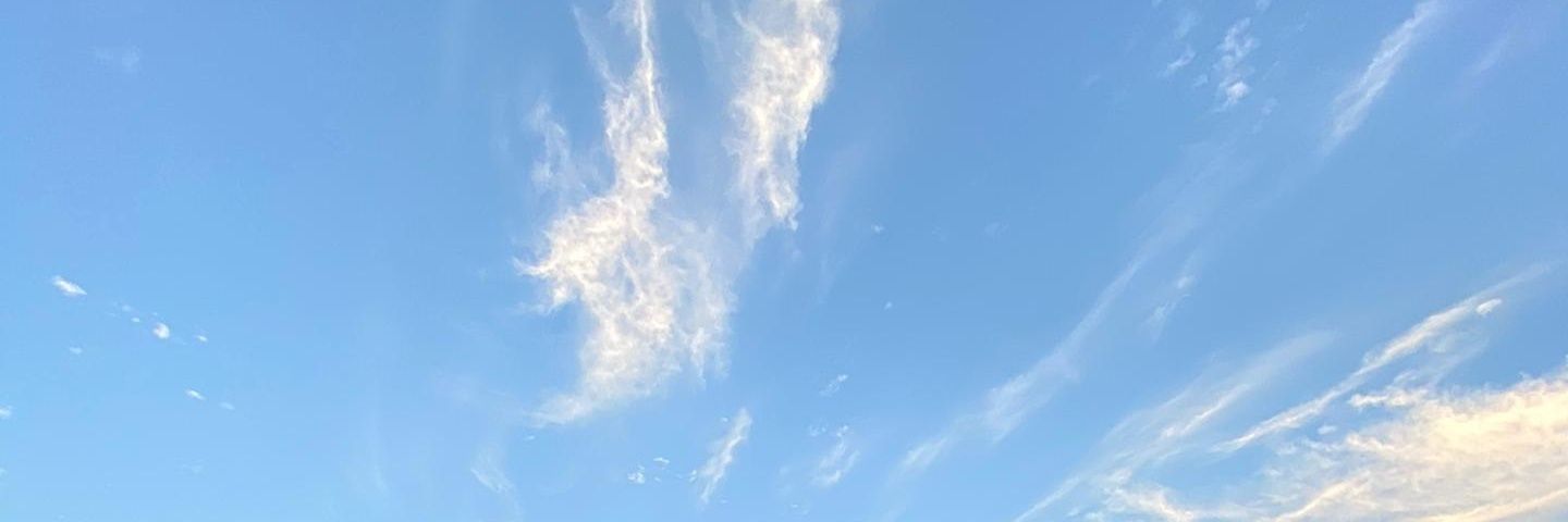 piinderica's profile banner image