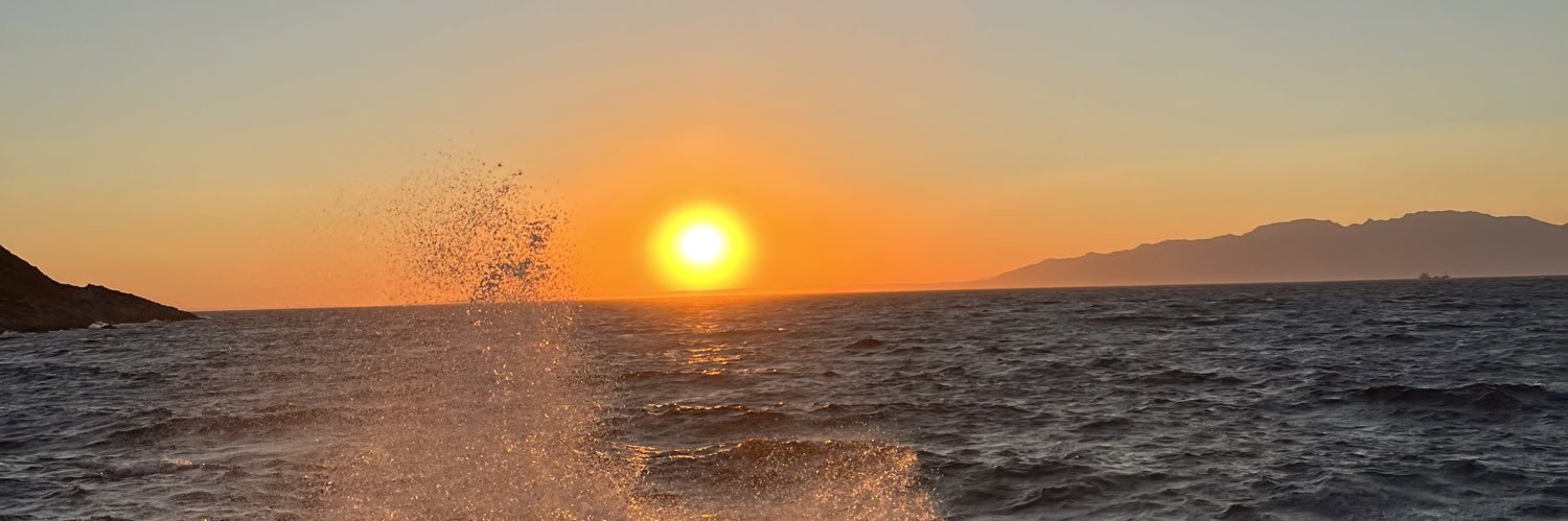 dilaygoksu's profile banner image