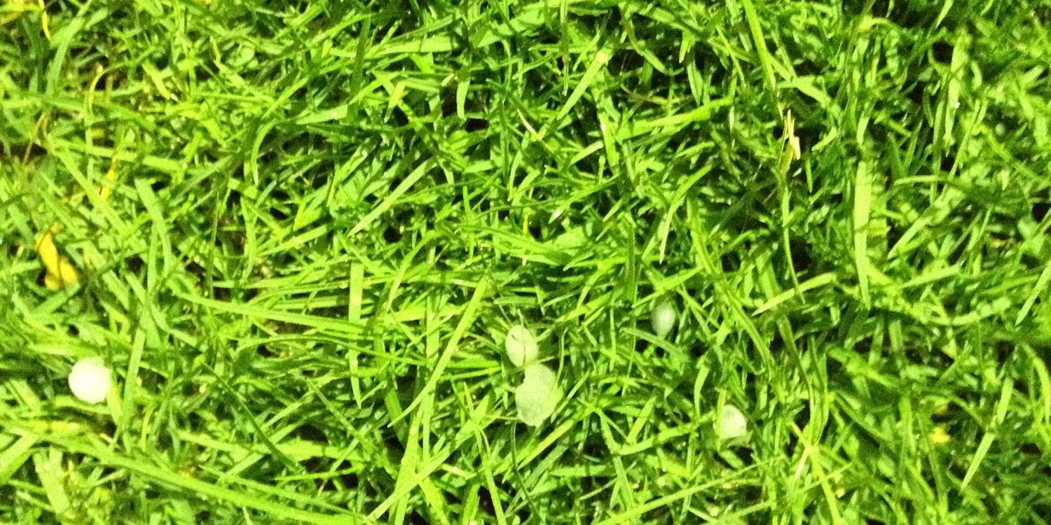 mamsaif's profile banner image