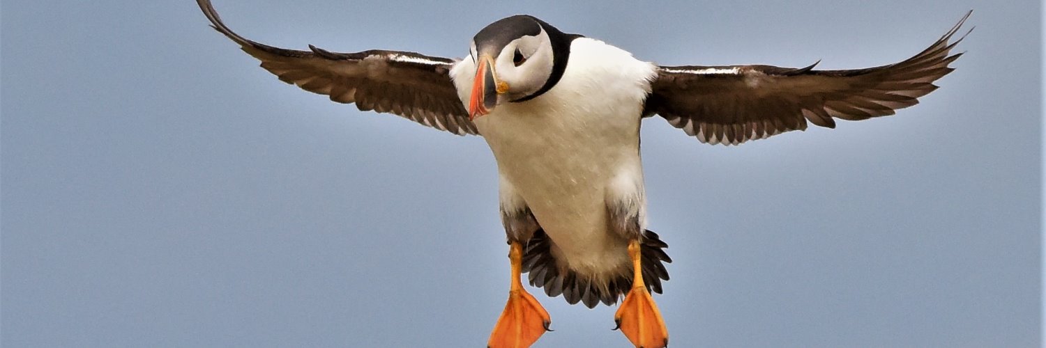 WhitleyJambo's profile banner image