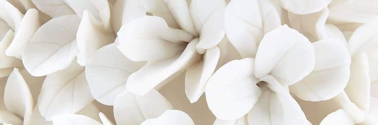 acubaaa's profile banner image