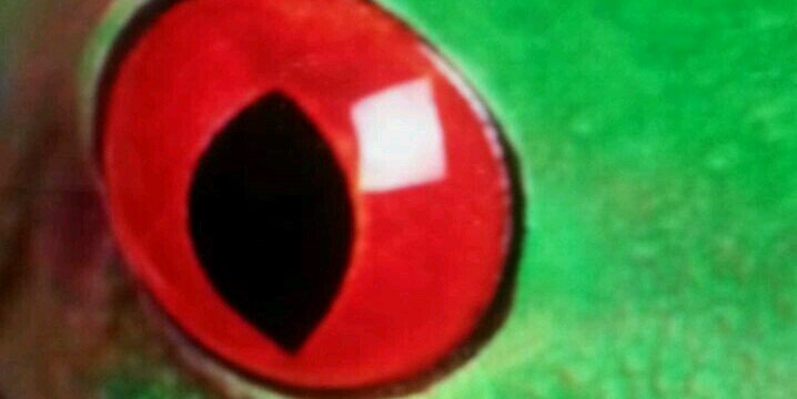 emaido's profile banner image