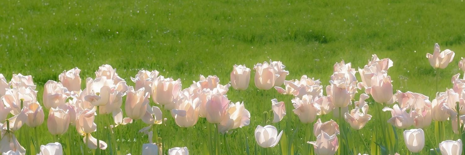 melanie banner