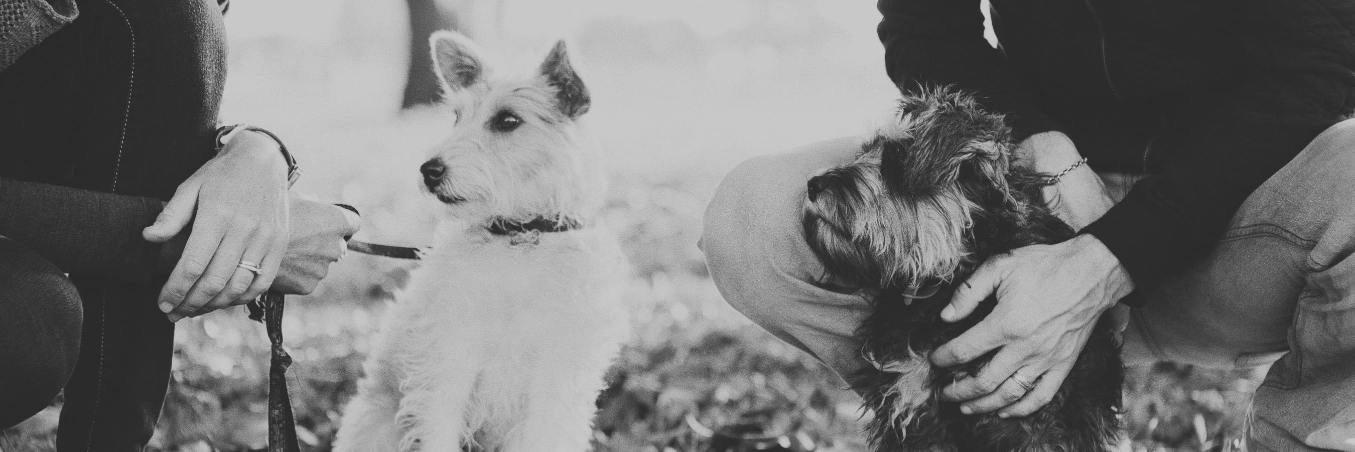 CathCheatley's profile banner image