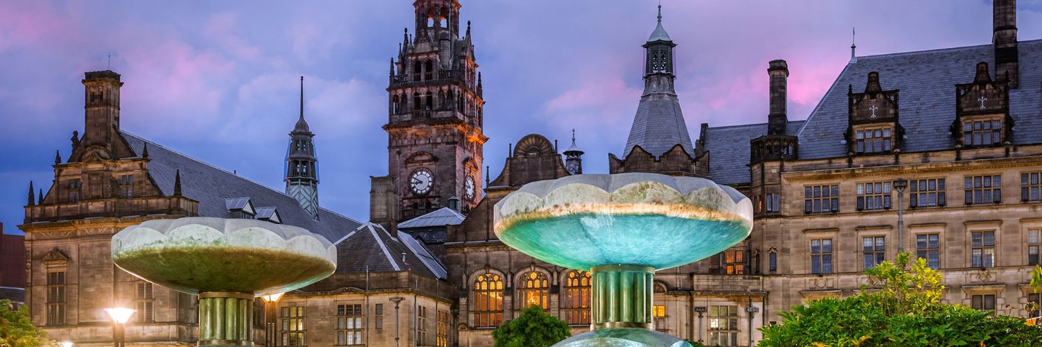 Stephen Allenson (Sometimes slightly satirical) banner