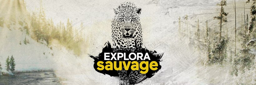 ICI EXPLORA banner