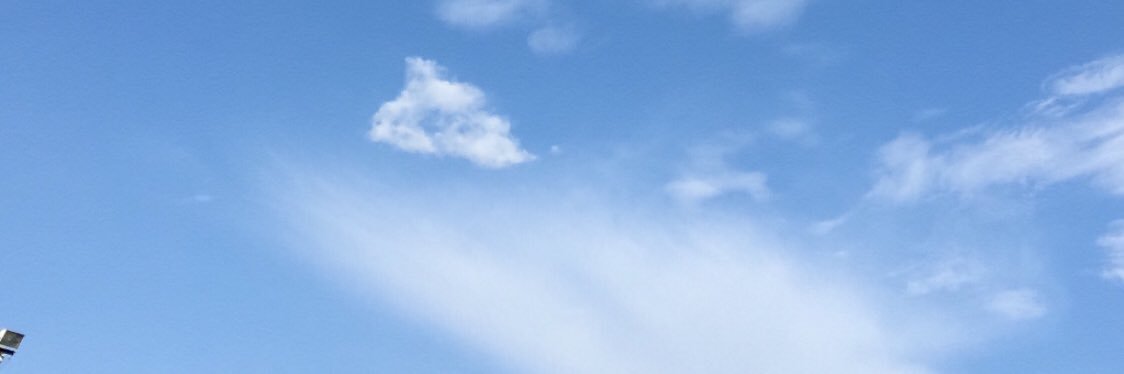 dafnegomes's profile banner image