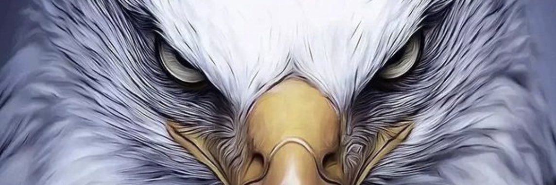 S_Harner's profile banner image