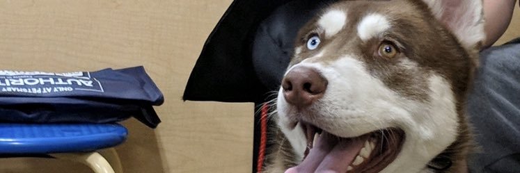 corygetbuckets4's profile banner image