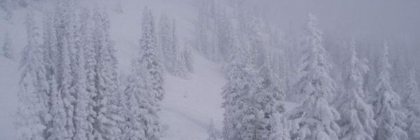wiggles42's profile banner image