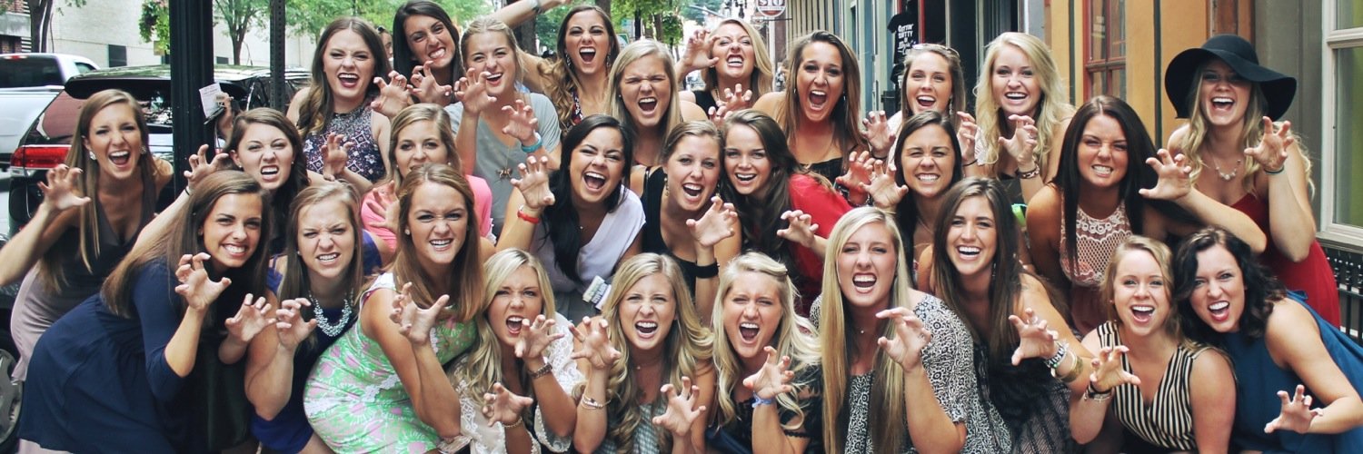 DeltaSigmaLions's profile banner image