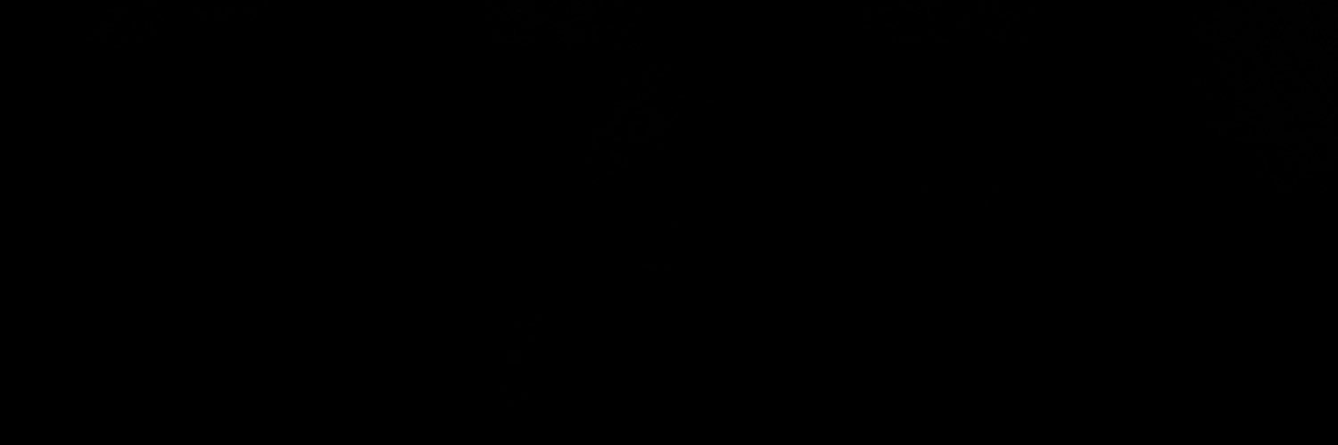 𝙎𝙪𝙢𝙢𝙞𝙩 𝙇𝙖𝙠𝙚𝙨 𝘼𝙘𝙩𝙞𝙫𝙞𝙩𝙞𝙚𝙨 banner