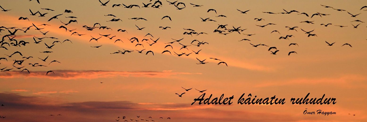 AvAdemTural's profile banner image