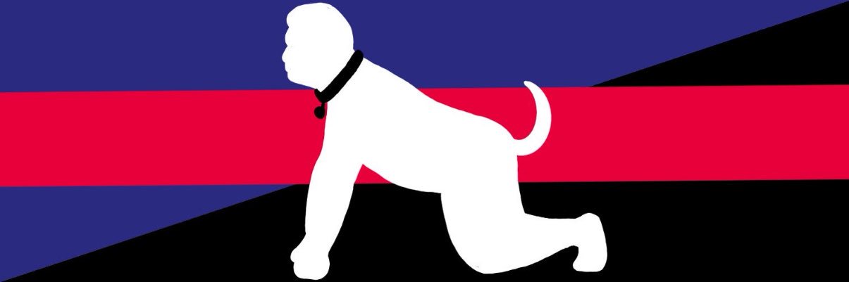 Tinynubboicub banner