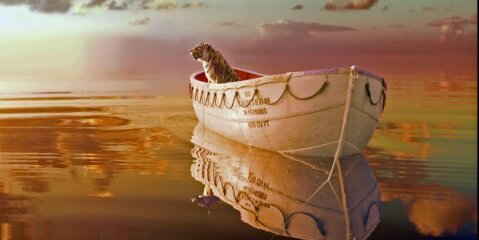 PiPatel_RBL's profile banner image